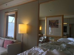 -新加坡丽思卡尔顿美年酒店