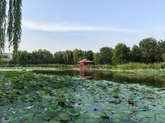 -云居湖