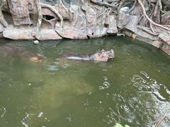 -长鹿旅游休博园