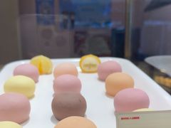 -西树泡芙(北京金源2店)