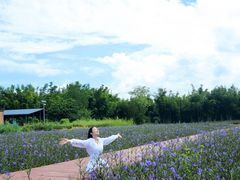 -苏家围·东江画廊旅游景区