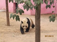 景点-郑州市动物园