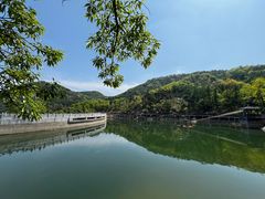 -沂蒙山旅游区云蒙景区(蒙山国家森林公园)