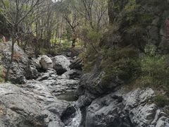 -云岫谷自然风景区