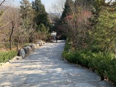 -北京周口店北京人遗址博物馆