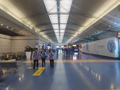 -重庆江北国际机场-T2航站楼