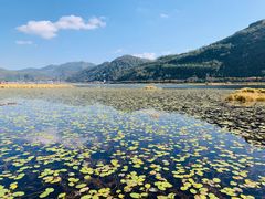 -腾冲北海湿地