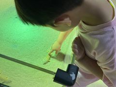 -萌宠奇缘