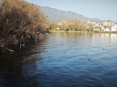 -洱海月湿地公园