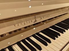 -柏斯音乐艺术中心·钢琴·吉他(上音店)