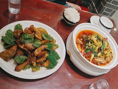-邵年鸽(杨庄店)