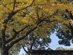 -灵岩山风景区