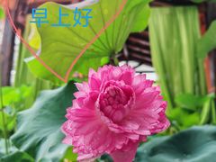 -聚福宝合苑食府(南头镇店)