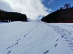 -太子岭滑雪场