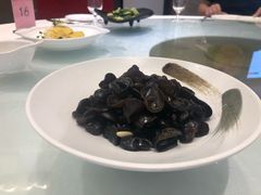 -骏莱海鲜鱼港(五角场店)