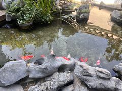 -道南書院·私房菜·早午茶·茶馆