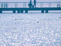-苏州太湖湖滨国家湿地公园