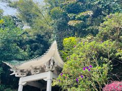 -广州市白云山风景名胜区