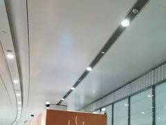 -麦当劳(北京大兴机场二层国内到达(安检外)店)