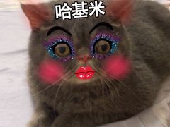 -联合动物医院(光谷诊疗中心)