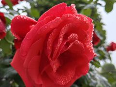 -木塔寺遗址生态公园