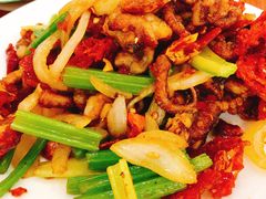 香辣鱿鱼-四海鲜渔家菜(黄金海岸店)