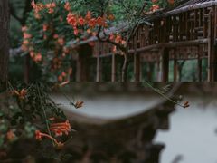 -拙政园