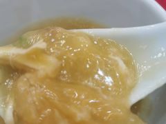 -大中鱼翅 Taitong Shark Fin