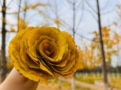 -汉长安城未央宫国家考古遗址公园