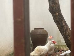 -孔氏南宗家庙