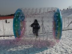 -青龙湖公园