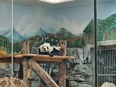 -武汉动物园