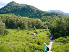 -白草畔自然风景区