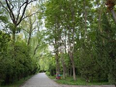 -洛阳市隋唐城遗址植物园