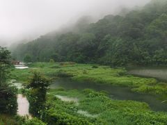 -广州市石门国家森林公园