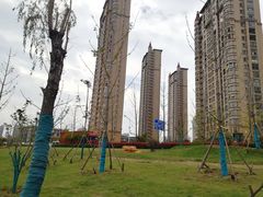 -中南·世纪雅苑