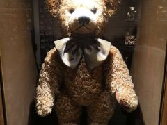 -济州岛泰迪熊博物馆