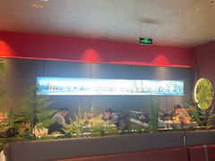 -7号院家宴.烧鸽子(门头沟店)