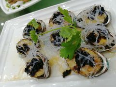 -南庄酒家·海鲜粤菜·25年老字号(环城南路店)