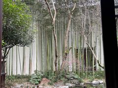 -杭州西子湖四季酒店-WL BISTRO西湖餐厅(灵隐路店)