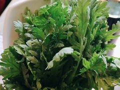 -同仁四季椰子鸡(福田东园总店)