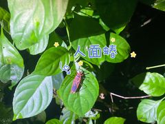 -中国科学院西双版纳热带植物园