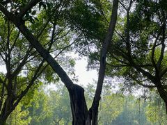 -白鹭洲公园