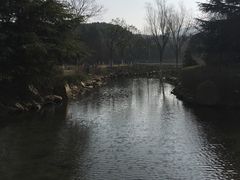 -白马涧龙池景区
