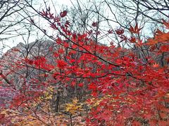 -崂山九水游览区