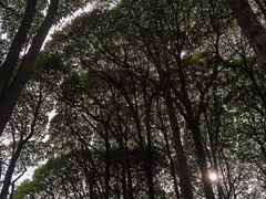 -贵州省植物园