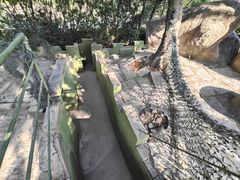 -大嶝英雄三岛战地观光园