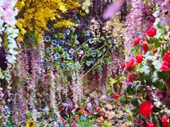 -正佳雨林生态植物园