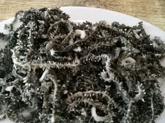爆肚-宋记爆肚(酒仙桥店)
