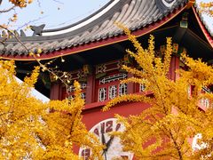 -四川大学(华西校区)